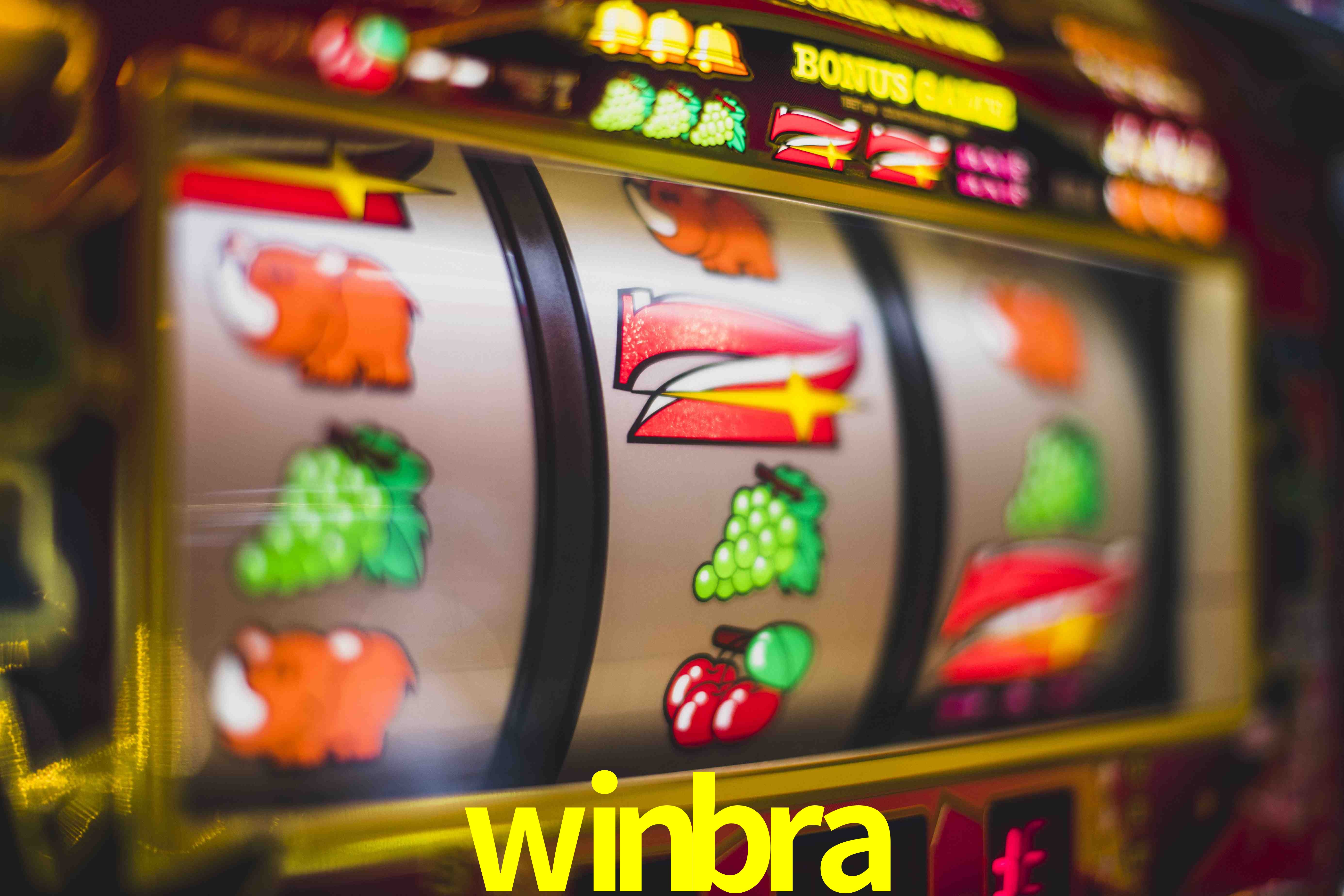 Experiência VIP winbra