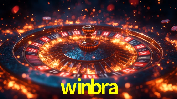 Premium Interface winbra